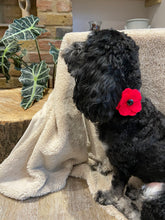 Load image into Gallery viewer, Remembrance Day Collar Poppies