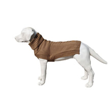 Load image into Gallery viewer, Jazz Jumper Camel