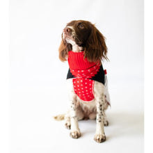 Load image into Gallery viewer, Rudolph Jumper
