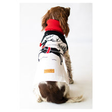 Load image into Gallery viewer, Rudolph Jumper