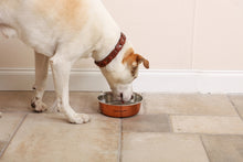 Load image into Gallery viewer, Hound Hammered Copper Bowl