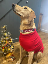 Load image into Gallery viewer, Knitted Dog Sweater - Red