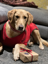 Load image into Gallery viewer, Luxe Pick n Mix Gift Wrapped Natural Treat box