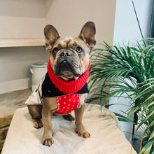 Load image into Gallery viewer, Rudolph Jumper