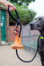 Load image into Gallery viewer, Poop Porter