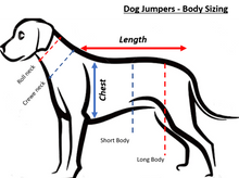 Load image into Gallery viewer, Jazz Jumper Camel