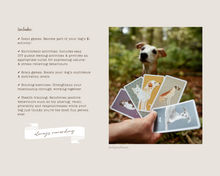 Load image into Gallery viewer, Brain Games for Dogs Card Deck