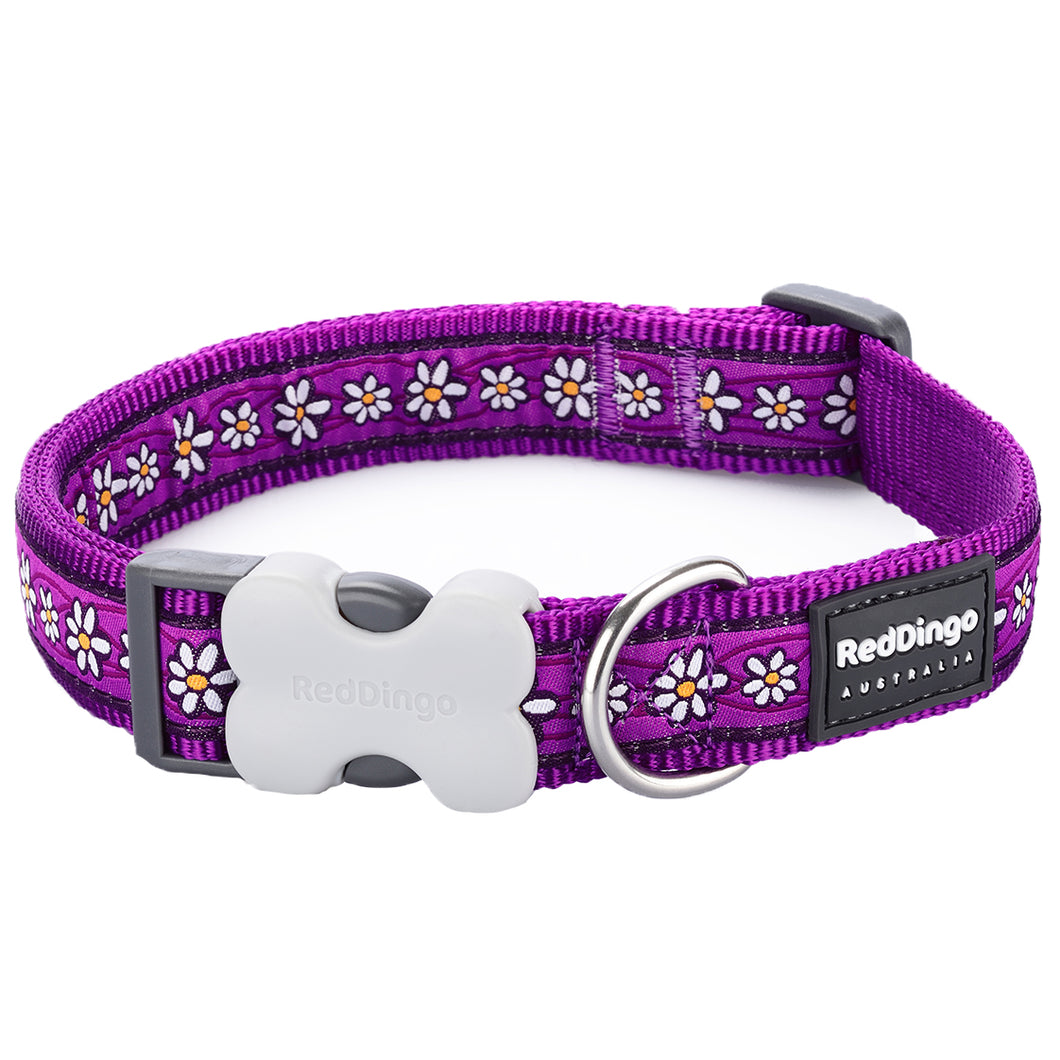Daisy Chain in Purple Collar