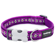 Daisy Chain in Purple Collar