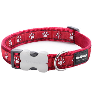 Desert Paws on Red