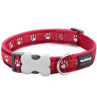 Desert Paws on Red
