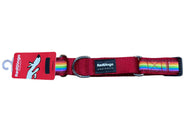 Rainbow Martingale Collar