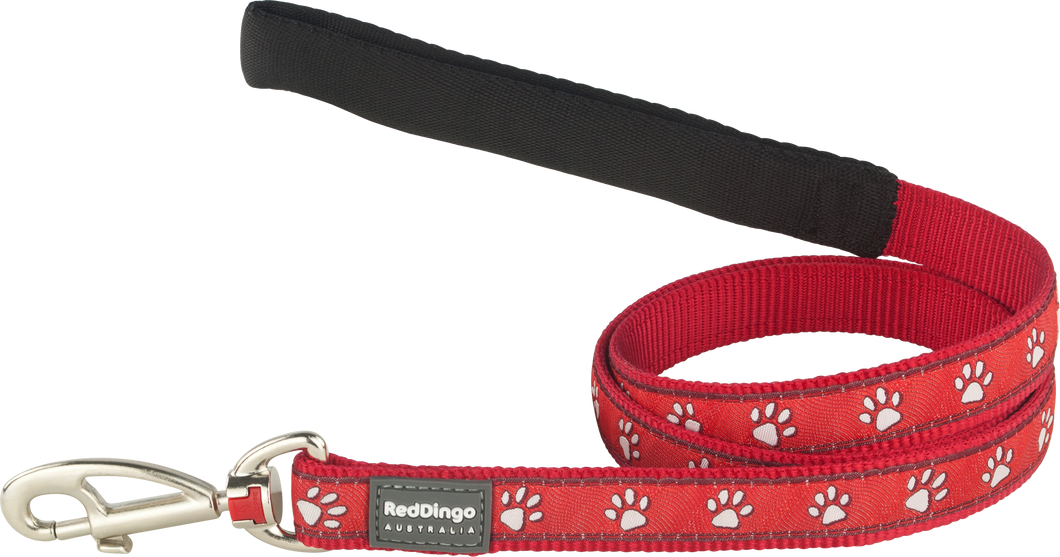 Desert Paws on Red Lead