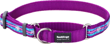 Load image into Gallery viewer, Martingale Collar - various designs
