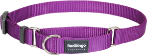 Martingale Collar - various designs