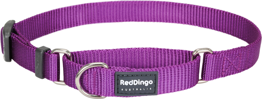 Martingale Collar - various designs