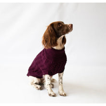 Load image into Gallery viewer, Rascal Jumper Grape
