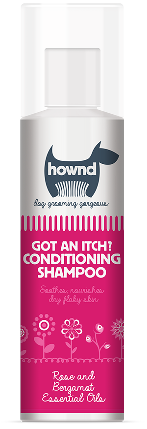Got an Itch? Conditioning Shampoo