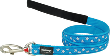 Load image into Gallery viewer, Turquoise Star Lead
