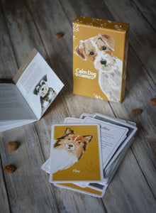 Brain Games for Dogs Card Deck